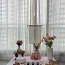 달콩마켓 이미지