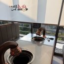 머찐어른소플러스 | 다시 가본 청주 가성비 소고기 맛집 소플러스 명암호수점 방문 후기