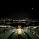 금강수목원아파트 | 세종 야경 명소 금강보행교 주차장 이응다리 데이트