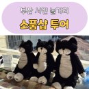 부산 서면 놀거리 데이트코스 전포동 카페거리 소품샵 네 곳 투어