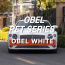 부천랩핑 벤틀리 랩핑 OBEL WHITE 오벨 화이트 후기