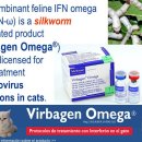 돌봄 동물병원 이미지