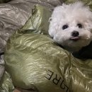 구시포노을캠핑장 이미지