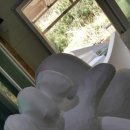 (주)소정건설 이미지