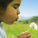 서일대학교부설어린이집 이미지