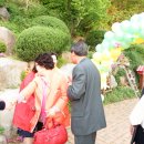 태백초등학교 이미지