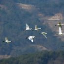 주남저수지 이미지