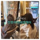 천호역매직 강곱슬매직 여름 부스스 머리 해결 후기