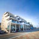 비놀리안 이미지