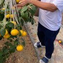 윤지농장 이미지