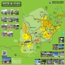 [테마 28인승 2026년 5월 16일토요일] 강원도대관령 천년의 숲길 금강소나무길 트레킹안내 이미지