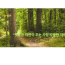 아침햇살약국 이미지