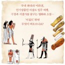 [신간소개] 고대 이집트 해부도감 (곤도 지로) 이미지