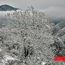 대관령어울림 이미지
