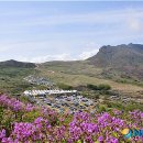 황매산국민여가캠핑장 이미지