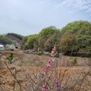 지제목장 이미지