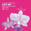난초 - 원주시 남부시장길 16 | 난초