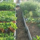 가영이네농장 이미지