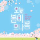 남대천 | 양양벚꽃명소 남대천 벚꽃축제 일정 강원도벚꽃후기