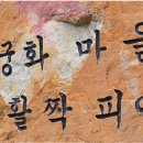 무궁화펜션민박 이미지