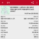 솔미