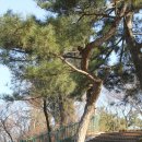 화원유원지 이미지