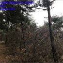 호리보건진료소 이미지