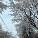 카페드모파상 이미지