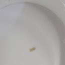 모리식당 이미지