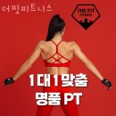 더핏 피트니스 | 시설 좋은 더핏피트니스 PT가격 정보