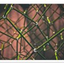 주식회사 케이씨에스 이미지