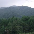 봉화 문수산(文殊山) 산행기 이미지