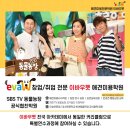 세종애견미용 이미지