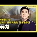 비비자 이미지