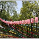 오감연결길 이미지