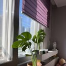 토성사우나 | #8 여유가 생기면 무엇을 할까