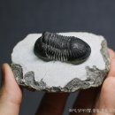 (주)삼엽 이미지