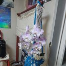 나는야~불사조입니다 ㅋㅋ 이미지