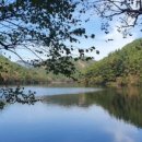 신가음정횟집 이미지