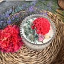 어버이날 맞이 3D펜 카네이션 석고방향제 만들기 | 부산 원데이클래스 어버이날 선물 카네이션 소이캔들 만들기