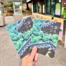 잉카펜션 (구 송원) | 볼만한곳 1박2일 가족여행코스 - 아침고요수목원, 송원, 라스블랑카스, 골든트리, 토요일은 밥이 좋아...
