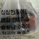 물고기아저씨 이미지