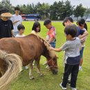 홍천인터넷신문
