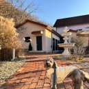 왕곡애견동반펜션 | 춘천펜션 추천 유럽감성의 춘천 애견동반 독채펜션 사나레 후기