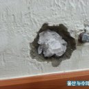 문수스쿼시장 화장실 이미지