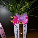 정수상사 이미지