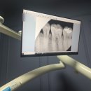 명동연세의원 이미지