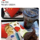 메리 크리스마스 콘서트 이미지