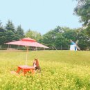 이월드컬러풀페스티벌 네이버블로그