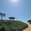 남산공원(정자아래) 이미지